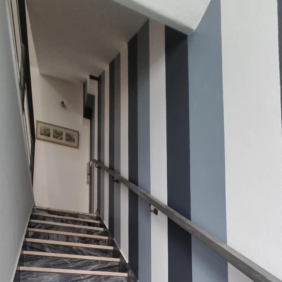 Casa Da Rua Da Fonte Βίλα Ferreira Do Alentejo Εξωτερικό φωτογραφία